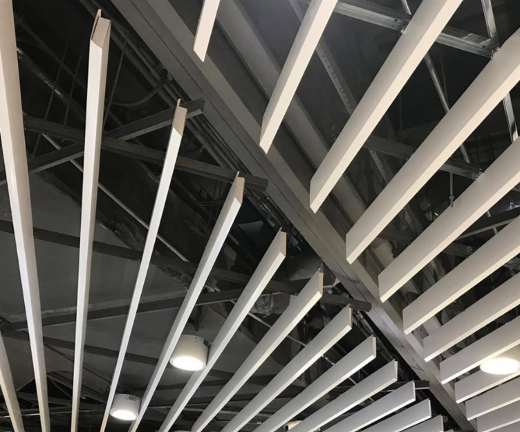 GENESIS U shaped baffle application