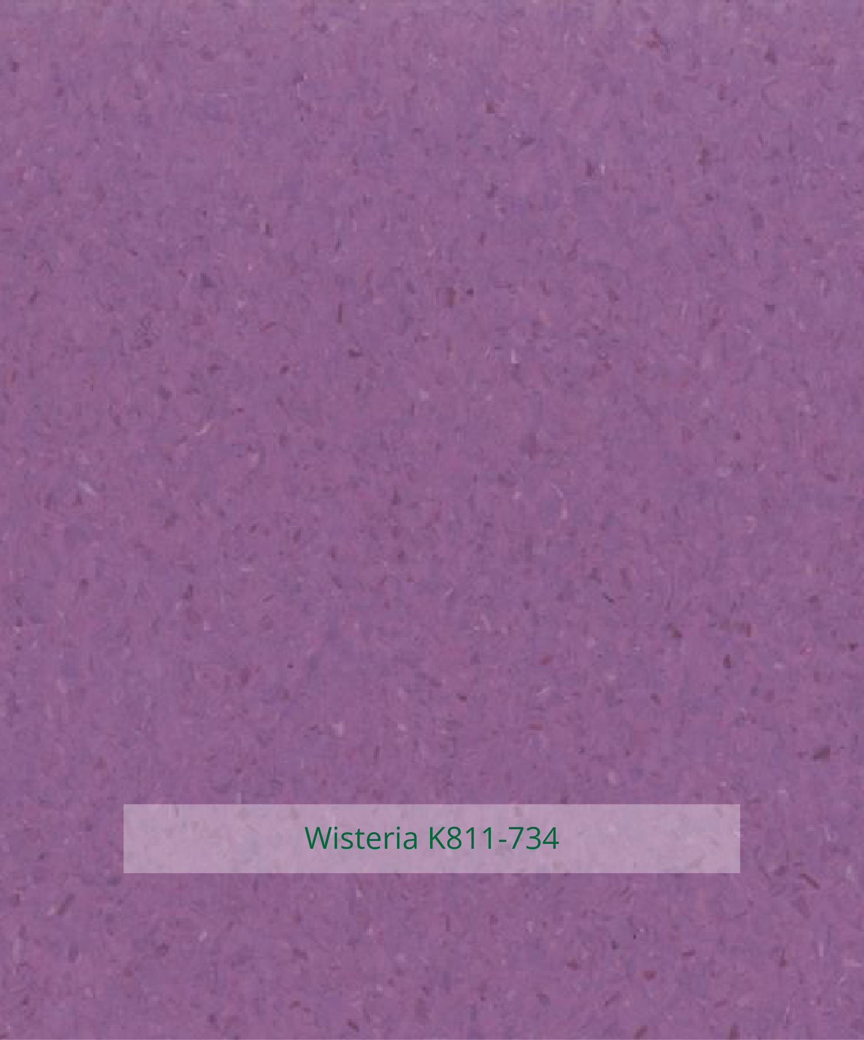 Medintect Plus Wisteria K811 734